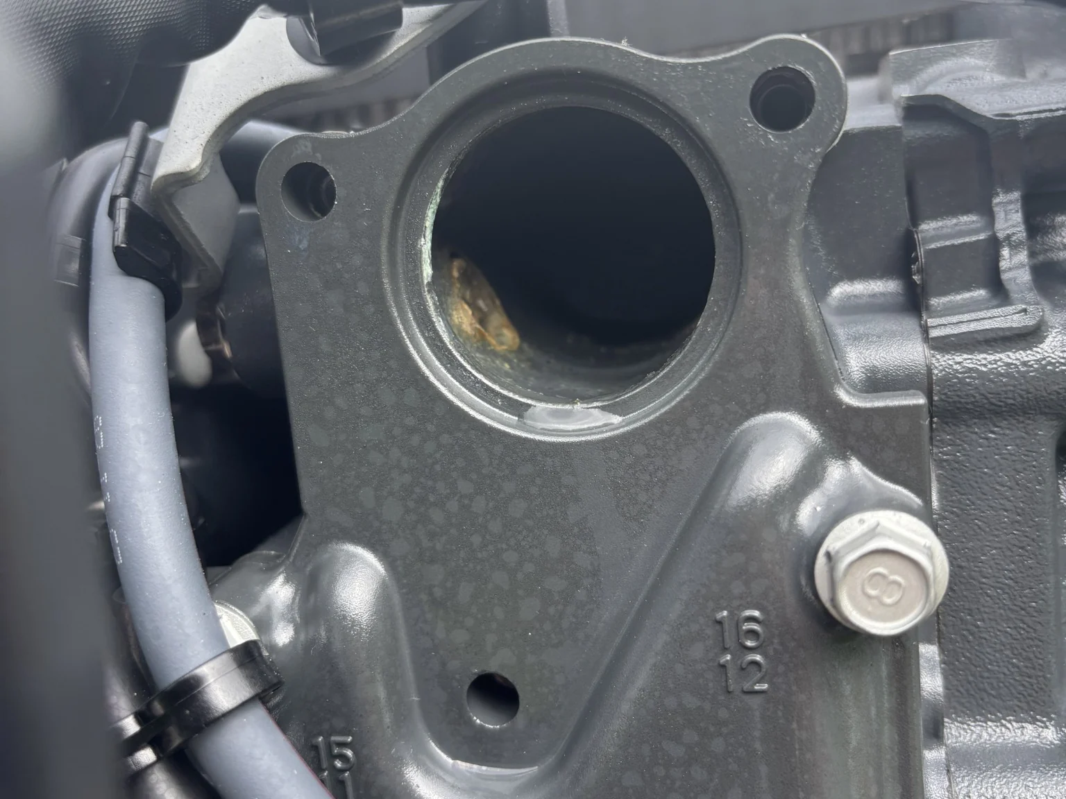 Yamaha engine checked during annual outboard service